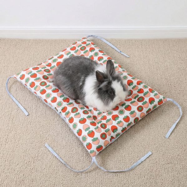 Rabbit bed comfy
