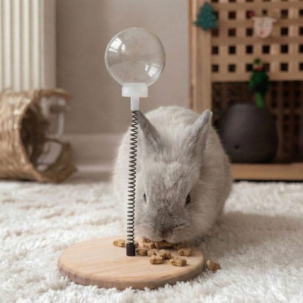 Rabbit enrichment activity