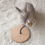 Rabbit enrichment toy