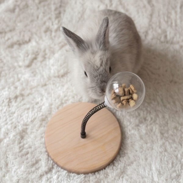 Rabbit enrichment toy