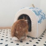 Rabbit hideout blue with cloud