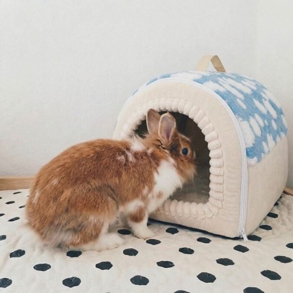 Rabbit hideout cloud