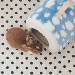 Rabbit house cosy