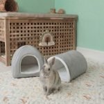Rabbit house grey