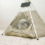 Rabbit house teepee