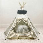 Rabbit house tent