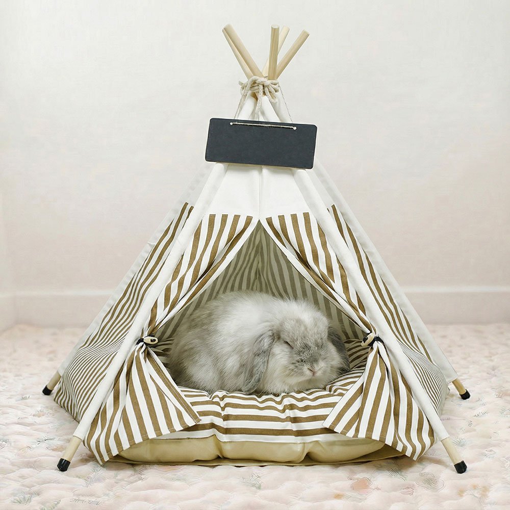 Rabbit house tent