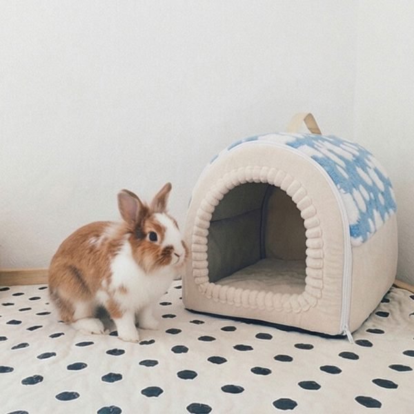 Rabbit house white and blue