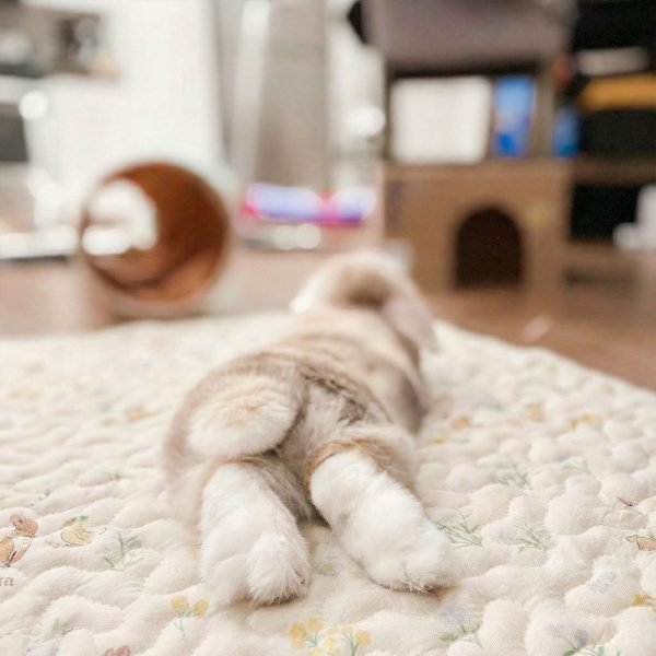 Rabbit mat for paws