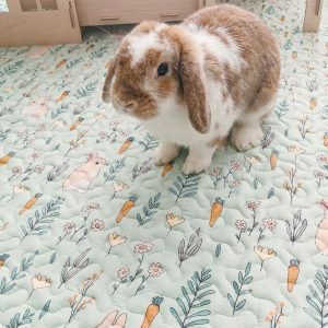 Rabbit Mat, Soft Ground for Happy Paws