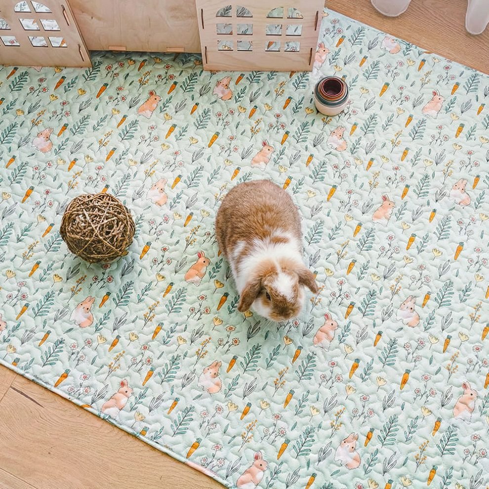 Rabbit Mat | Soft Floor for Your Bun's Paws