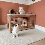 Rabbit playmat beige