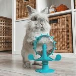 Rabbit toy blue wheel