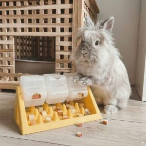 Rabbit Toy Triple Wheel, treat puzzle for curious buns