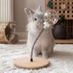 Rabbit toy enrichment activity