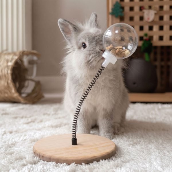 Rabbit toy enrichment activity