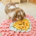 Rabbit toys forage mat