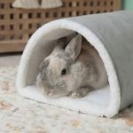 Rabbit tunnel bed and hideout