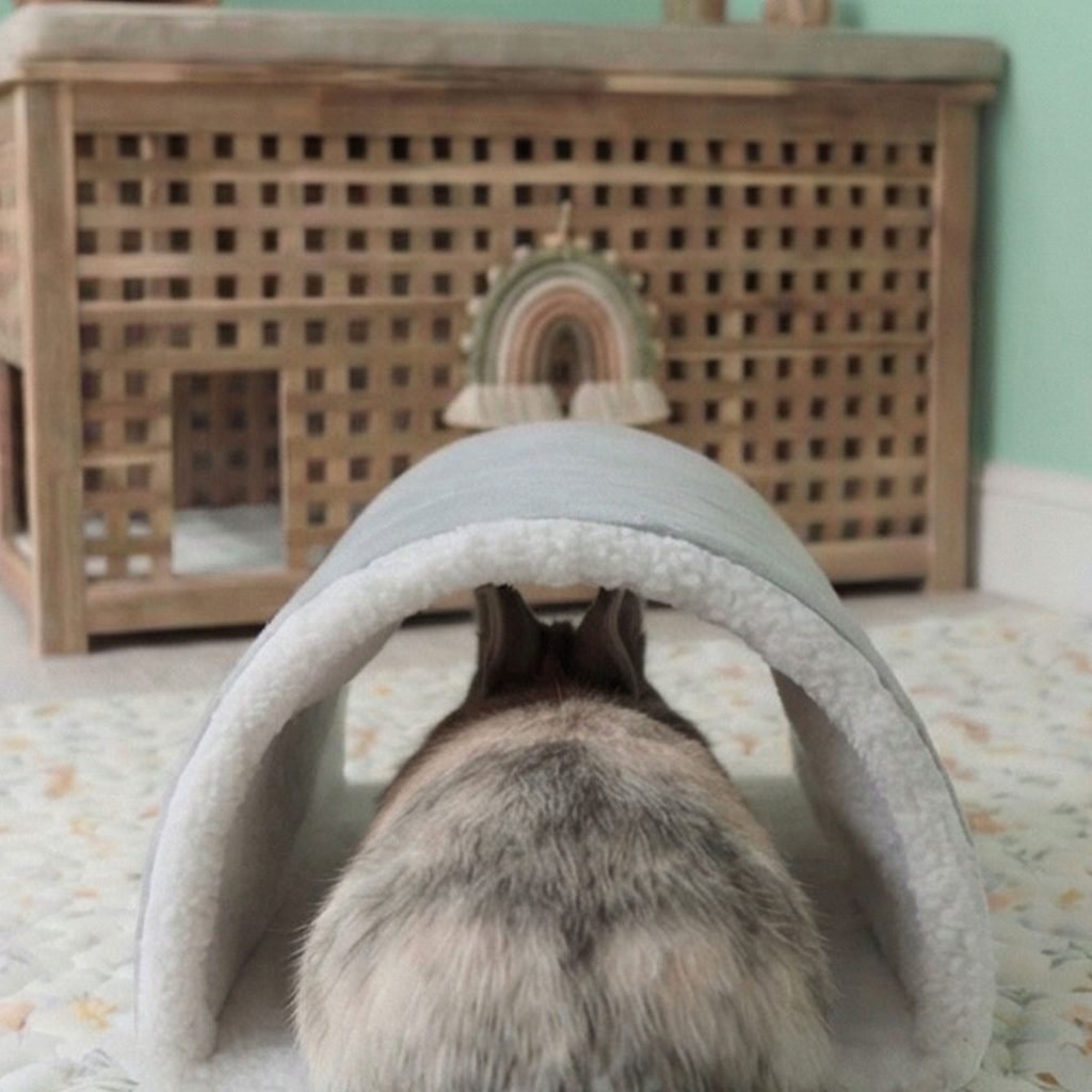 Rabbit tunnel hideout grey