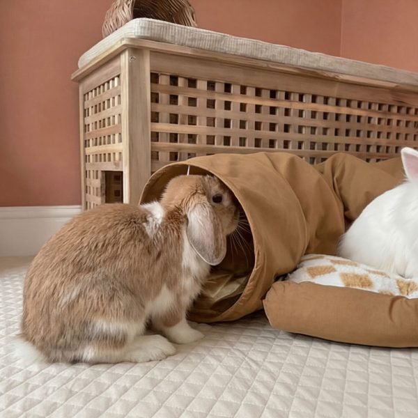 Rabbit tunnel rabbit toy