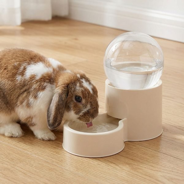 Rabbit water bottle bowl