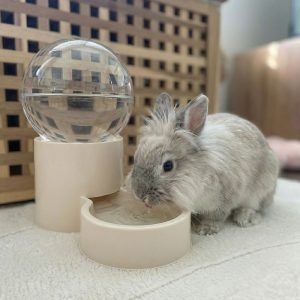 Rabbit water bottle dispenser