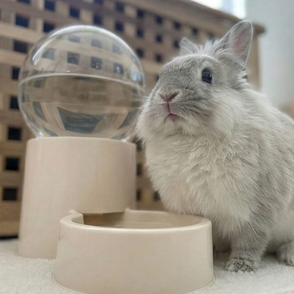 Rabbit water dispenser natural