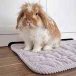 Small bunny Mat