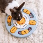 Toys for rabbit smart toy