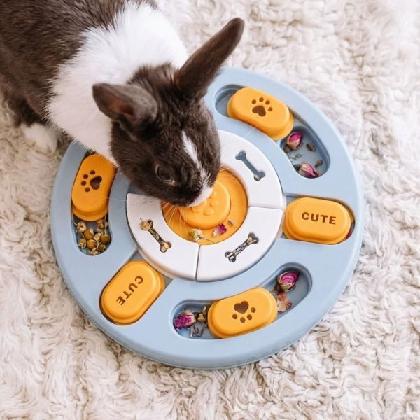 Toys for rabbit smart toy