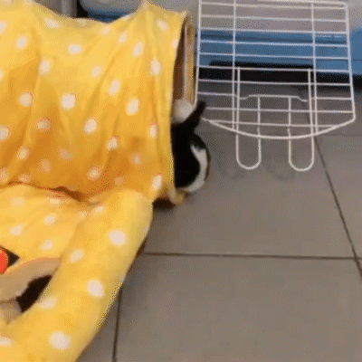 Rabbit tunnel yellow