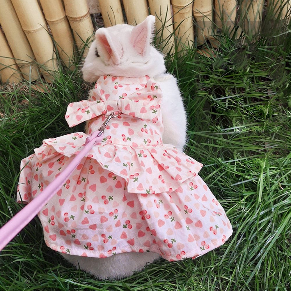 Rabbit Clothes with hearts
