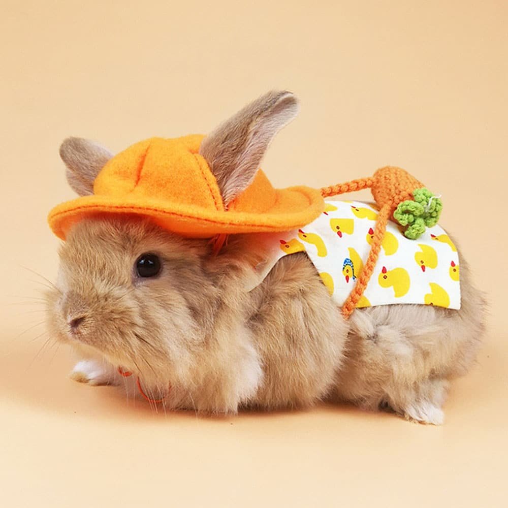 Rabbit Clothes with Hat