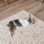 anti slip rabbit mat