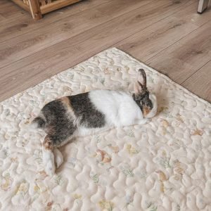 anti slip rabbit mat