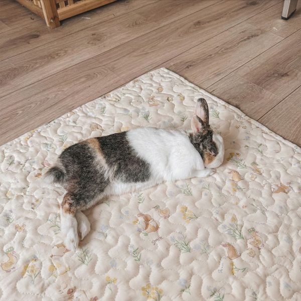 anti slip rabbit mat