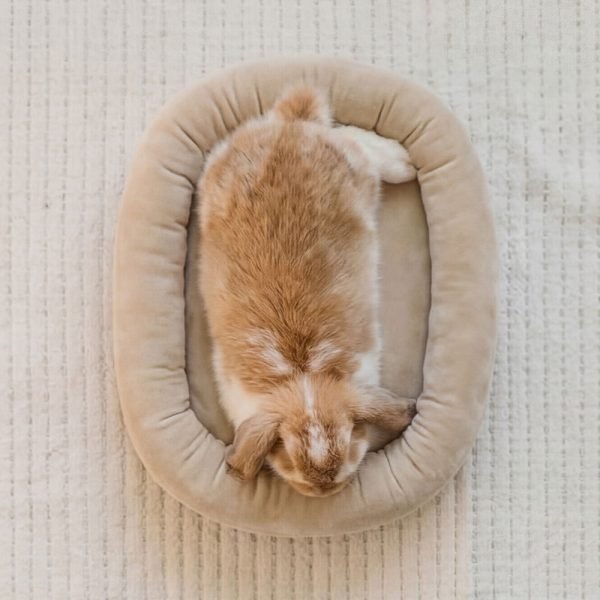 bunny bed beige