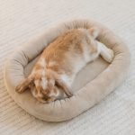 bunny bed beige soft