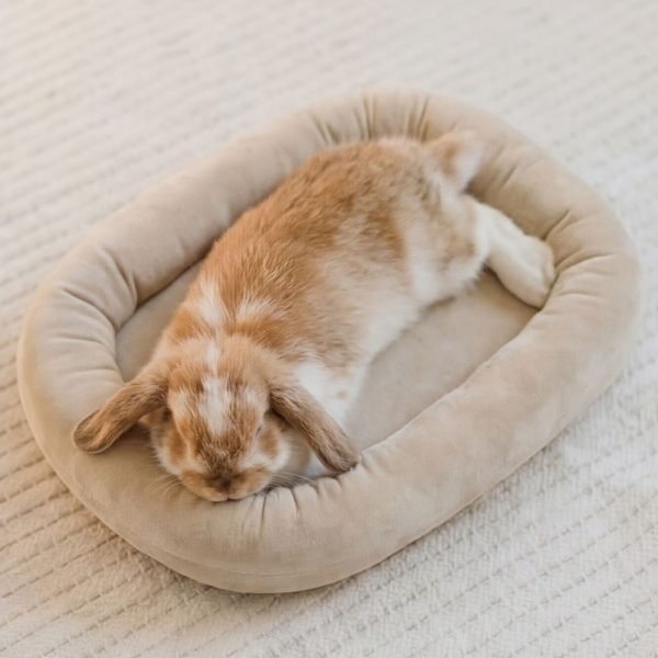 bunny bed beige soft