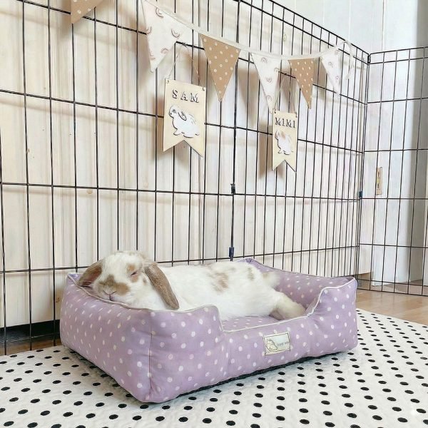 bunny bed purple
