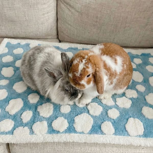 bunny blanket mat
