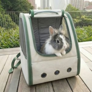 bunny carrier bag