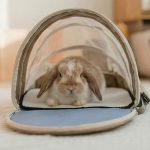 bunny carrier bag beige