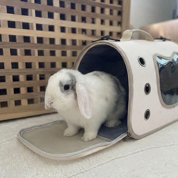 bunny carrier beige