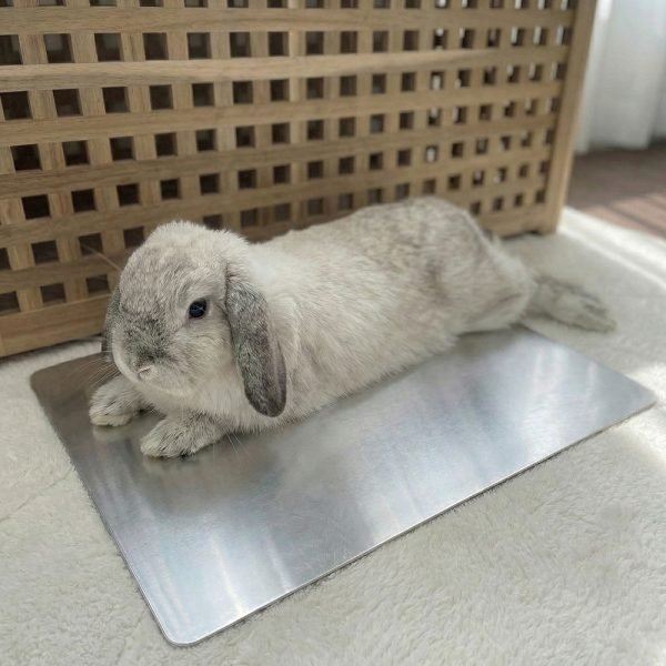 bunny cooling pad bunny cooling pad