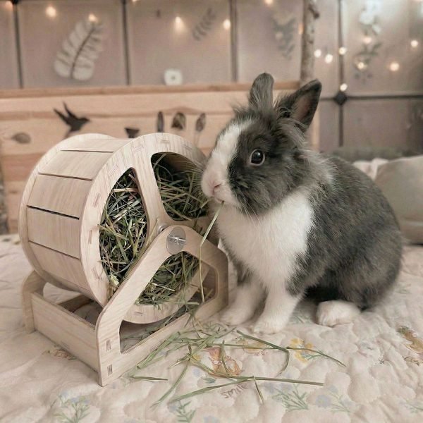 bunny feeder