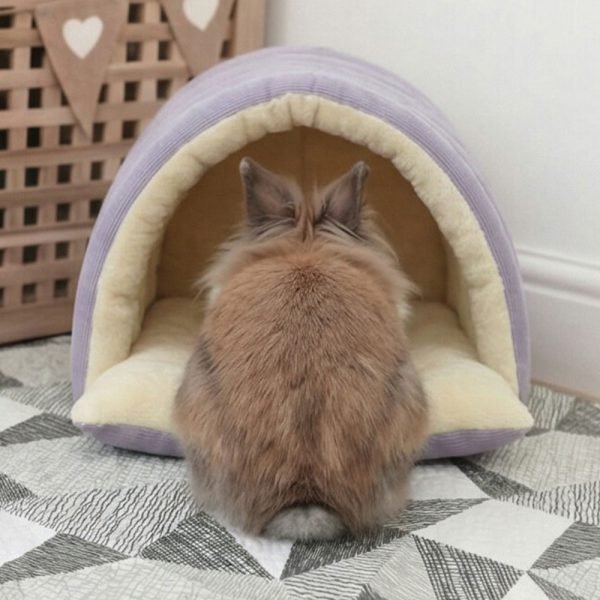 bunny hideout purple