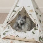 bunny hideout teepee tent