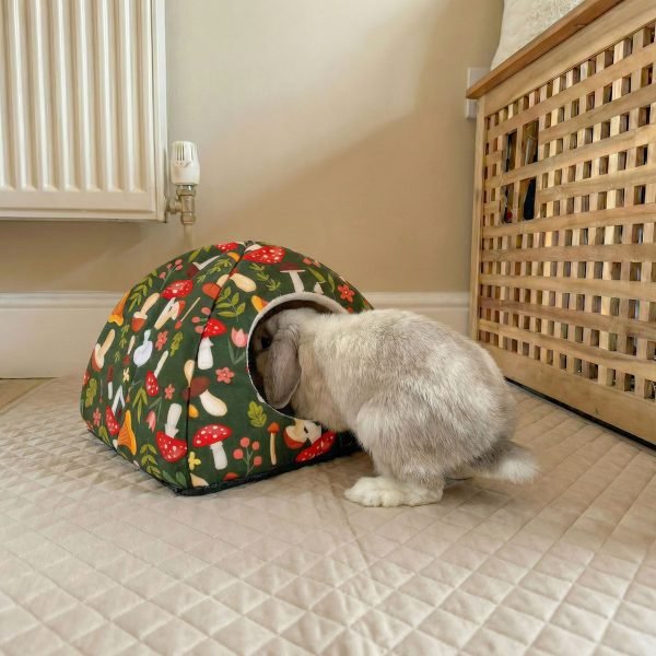bunny house forest