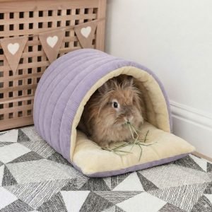 bunny house hideout